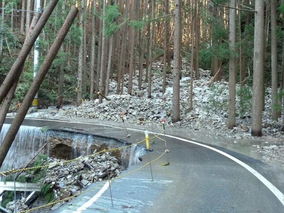 P1010916_mid.jpg
