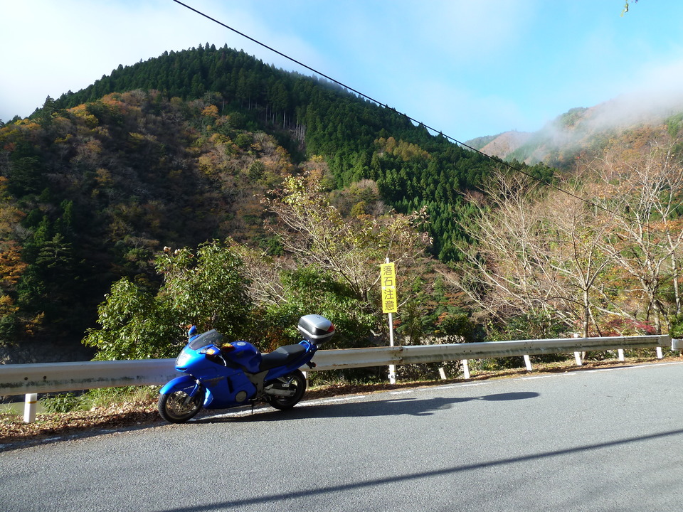 P1020423_mid.jpg