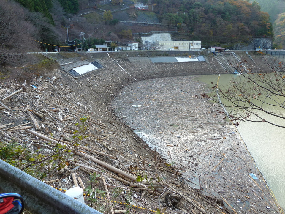 P1020424_mid.jpg