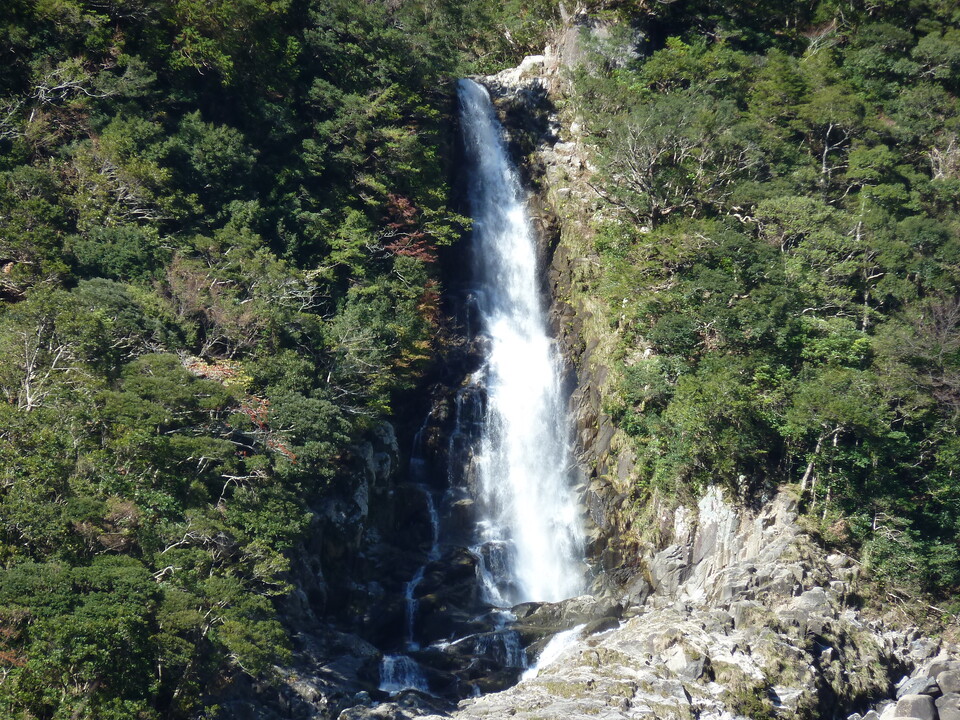 P1020619_mid.jpg