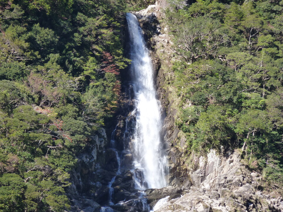 P1020622_mid.jpg