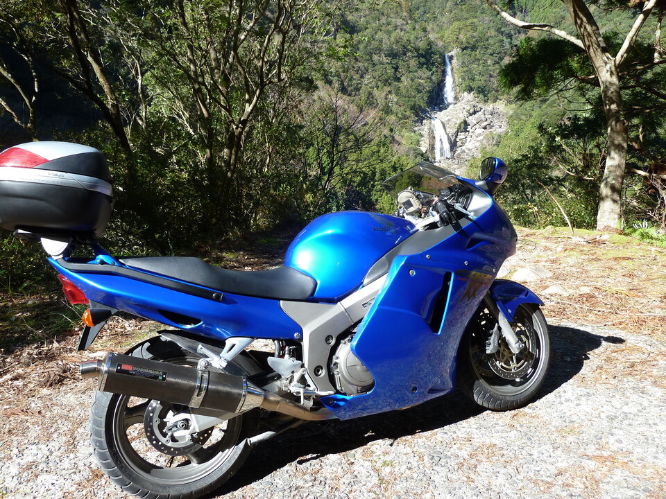 P1020624_mid.jpg