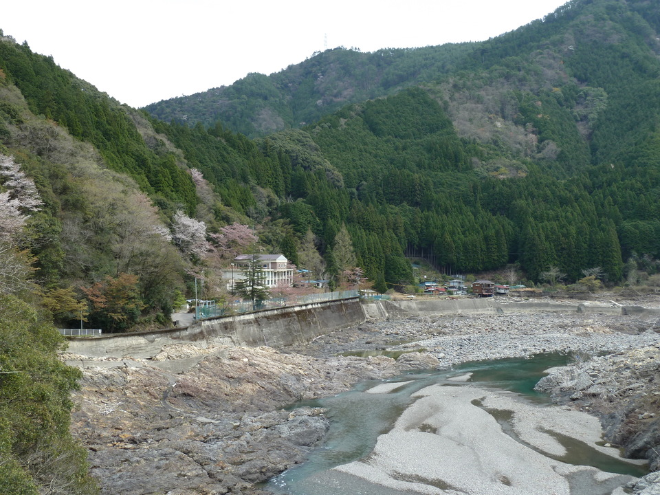 P1030204_mid.jpg