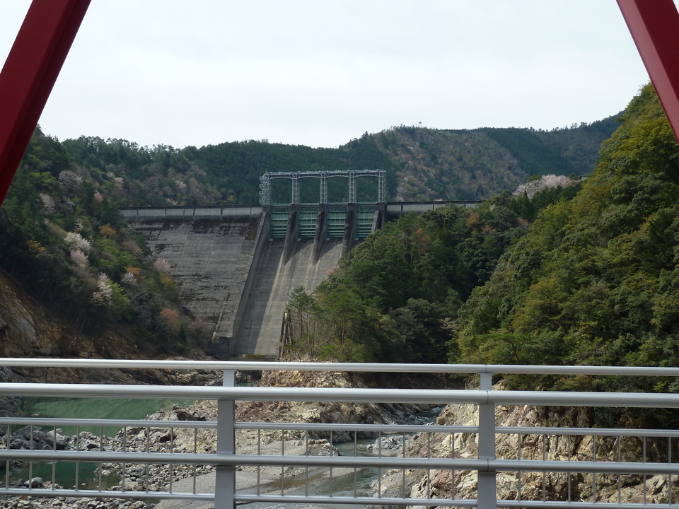 P1030205_mid.jpg