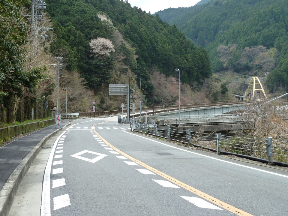 P1030228_mid.jpg