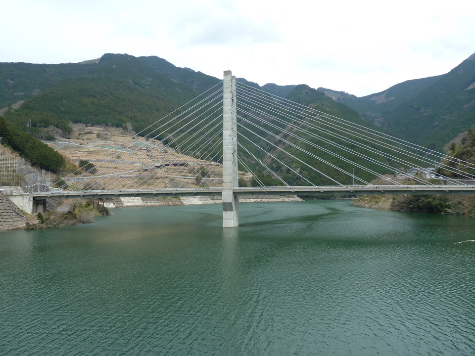 P1030232_mid.jpg