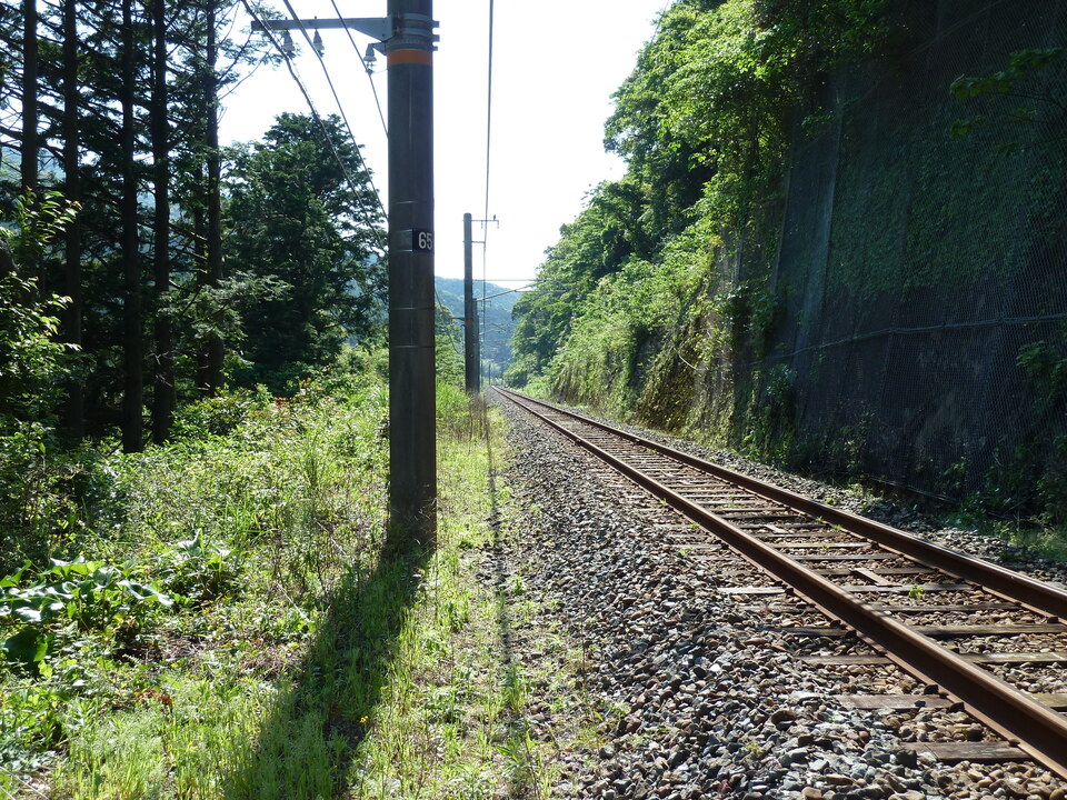 P1030490_mid.jpg