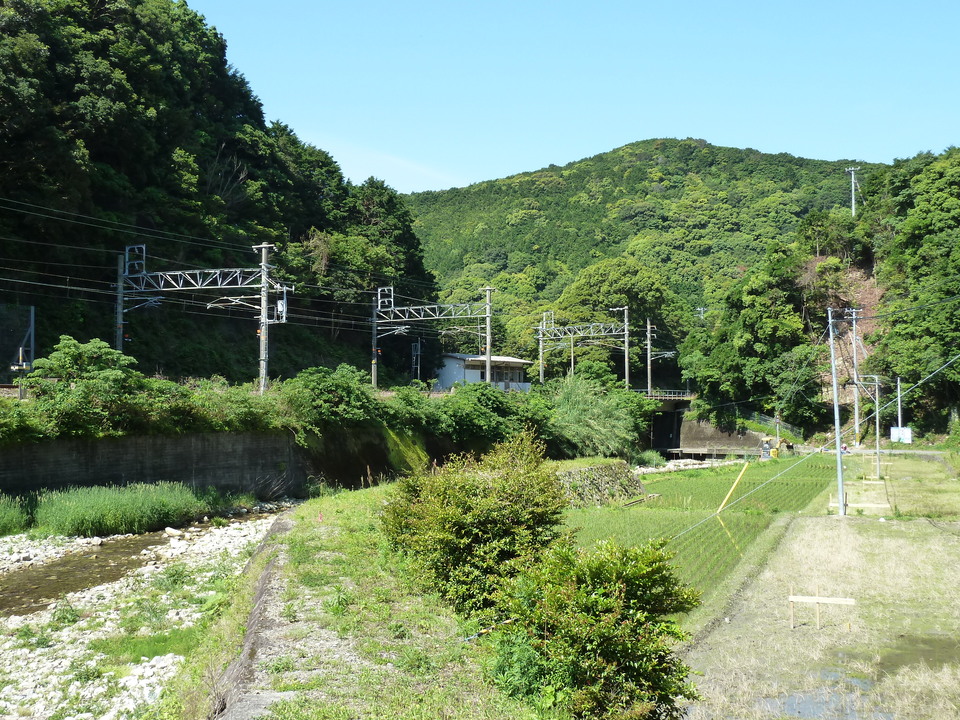 P1030504_mid.jpg