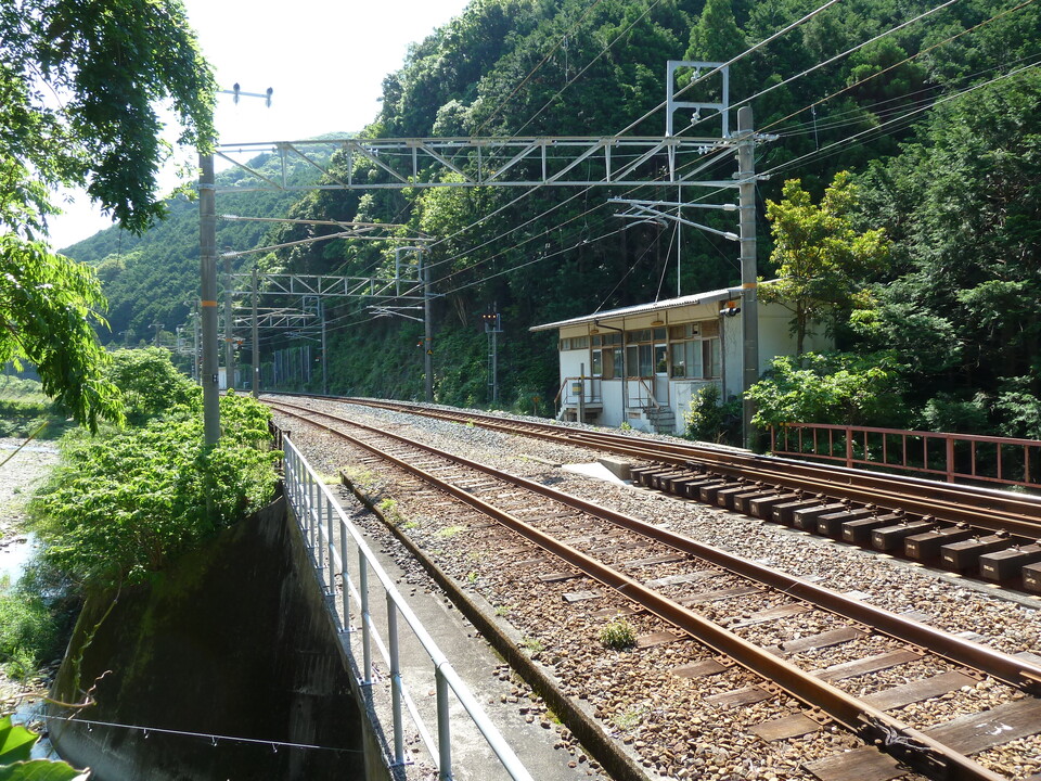 P1030508_mid.jpg