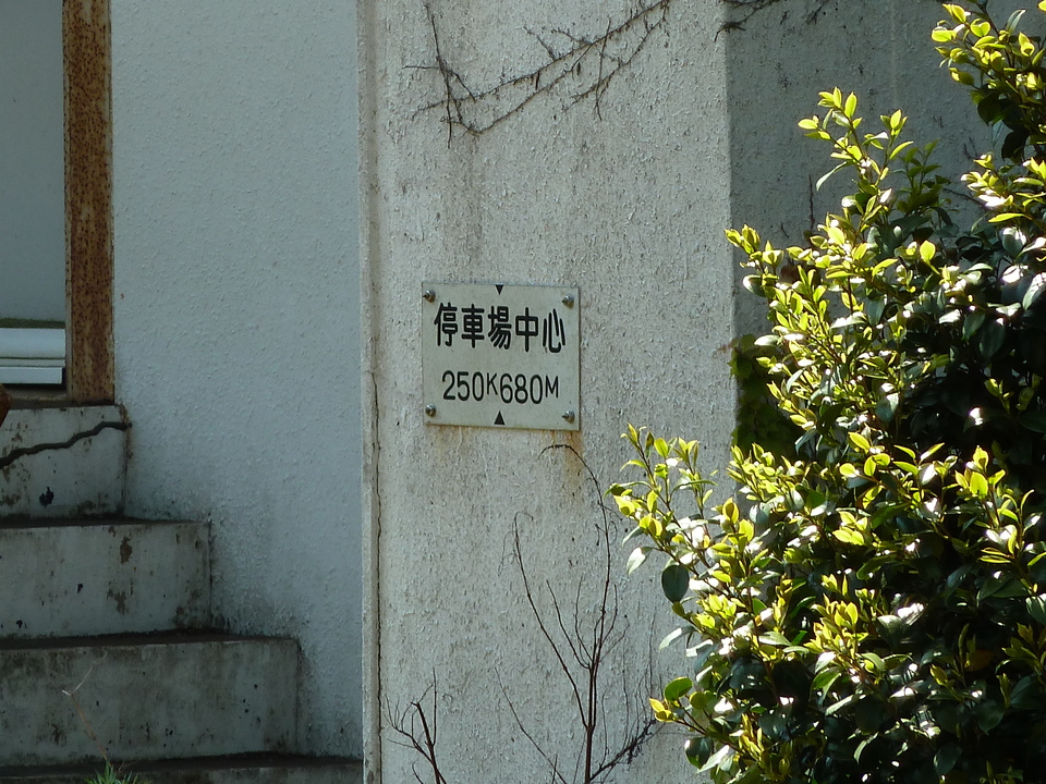 P1030511_mid.jpg