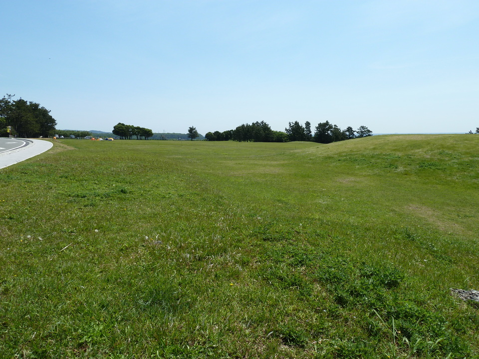 P1030549_mid.jpg
