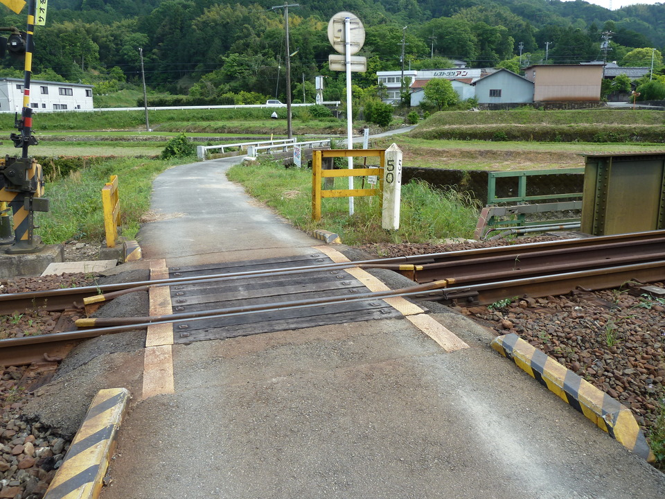 P1030581_mid.jpg