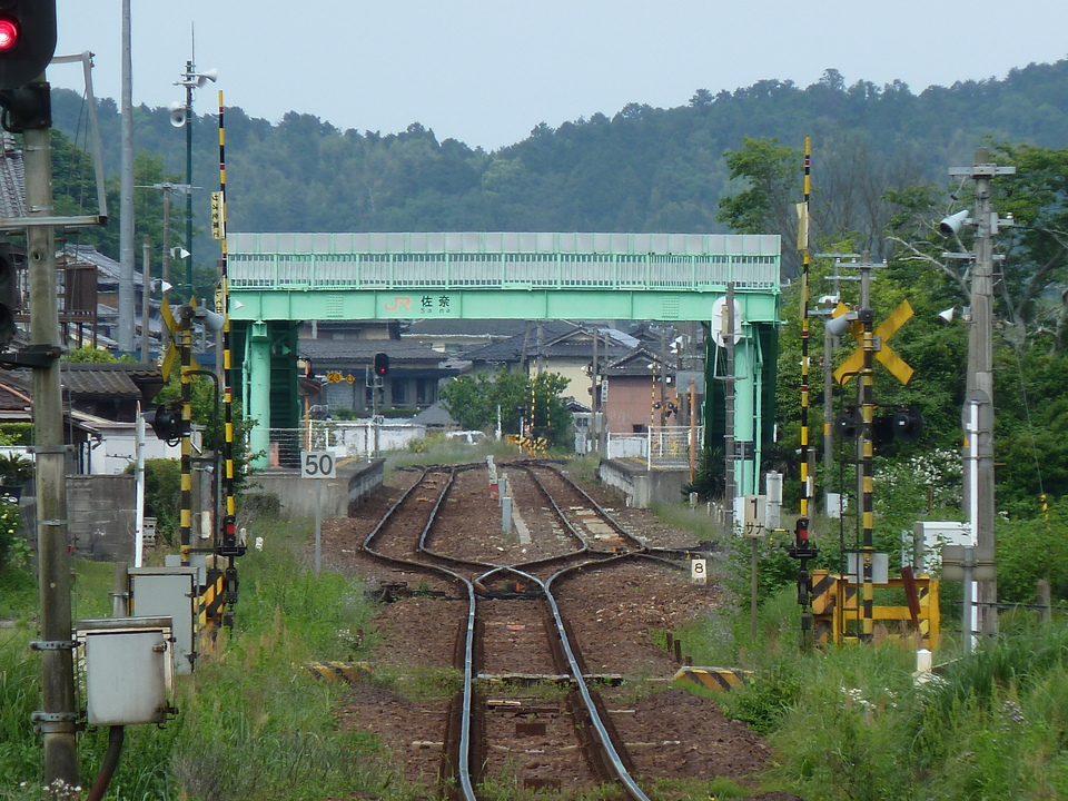 P1030584_mid.jpg