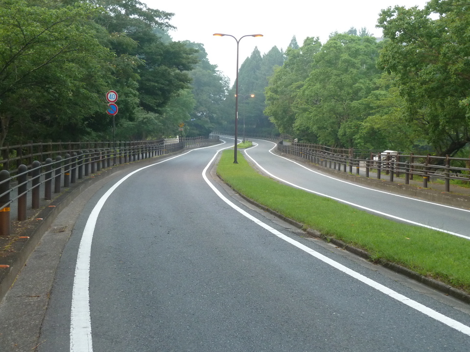 P1030768_mid.jpg