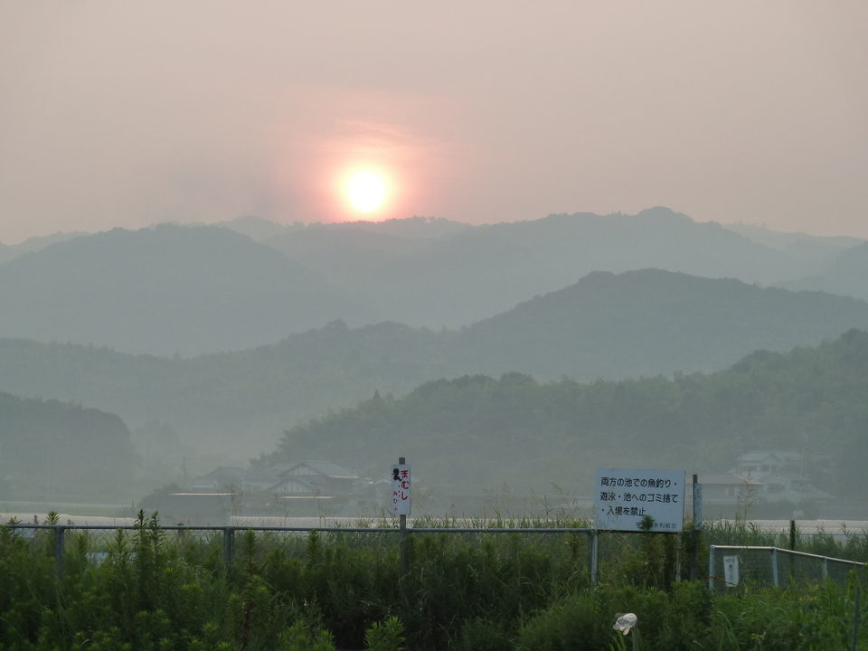 P1030781_mid.jpg
