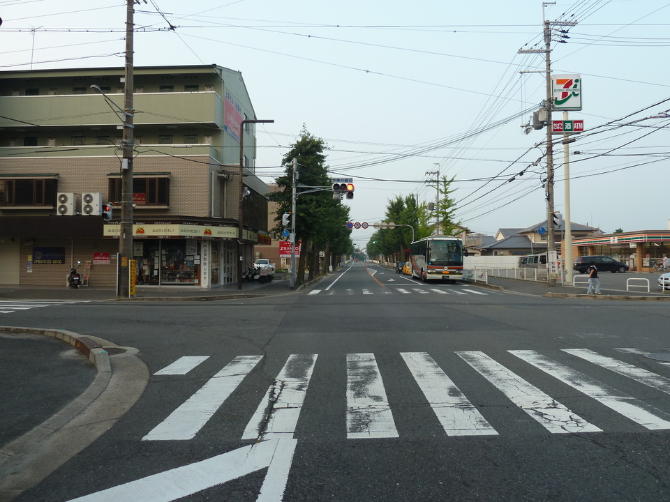 P1030792_mid.jpg