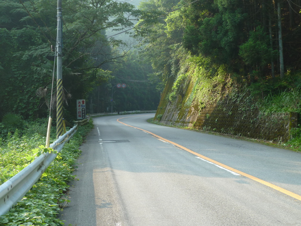 P1030988_mid.jpg