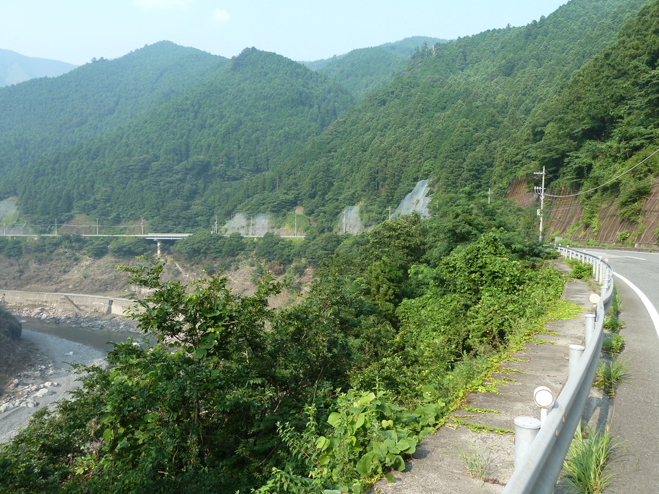 P1040060_mid.jpg