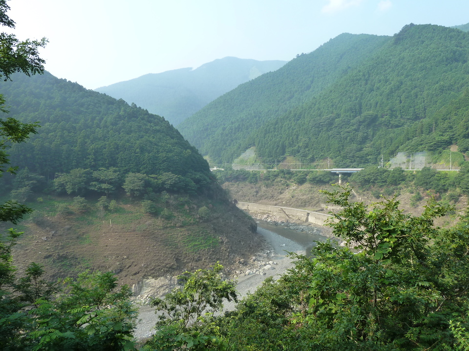 P1040061_mid.jpg