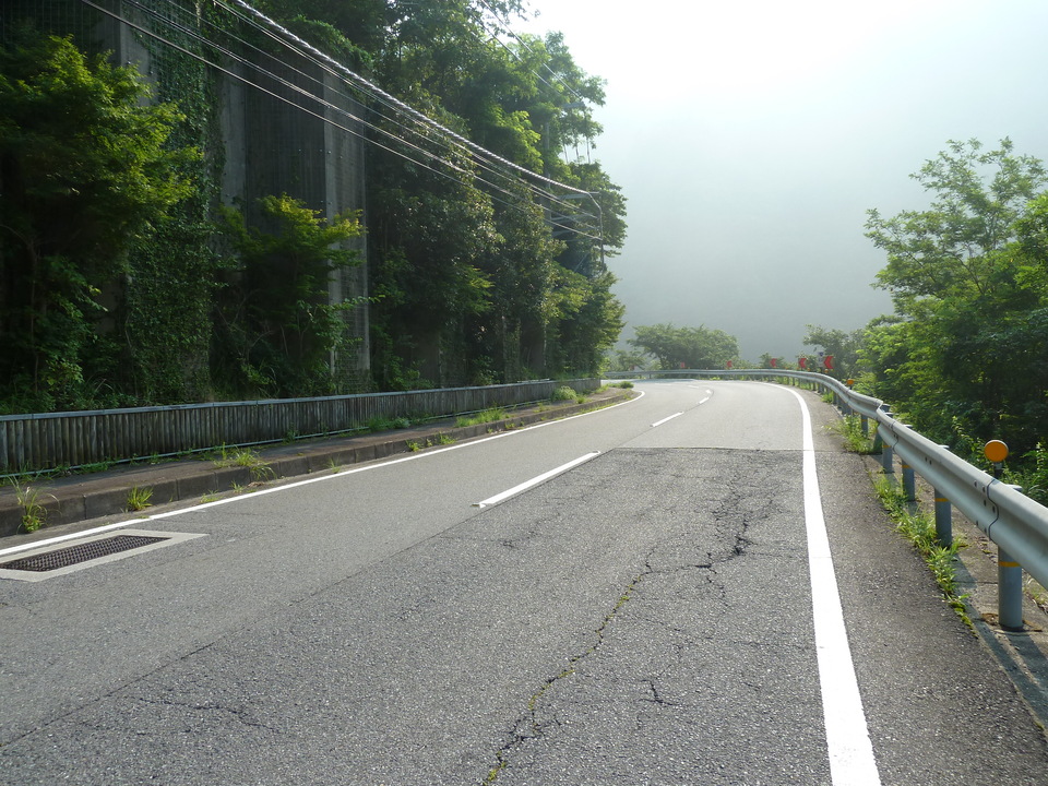 P1040062_mid.jpg