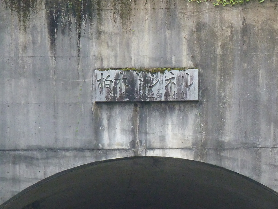 P1040089_mid.jpg