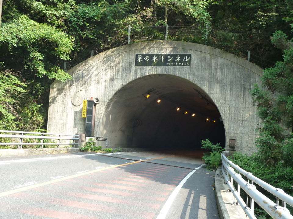 P1040123_mid.jpg
