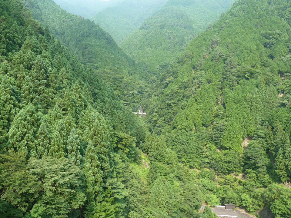 P1040126_mid.jpg