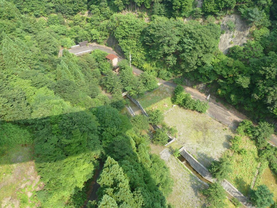 P1040127_mid.jpg