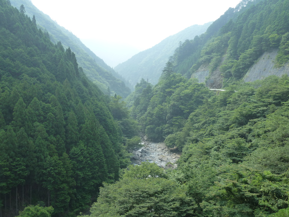P1040158_mid.jpg