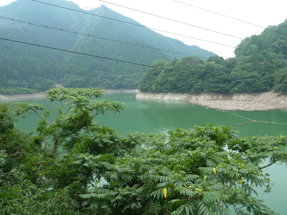 P1040205_mid.jpg