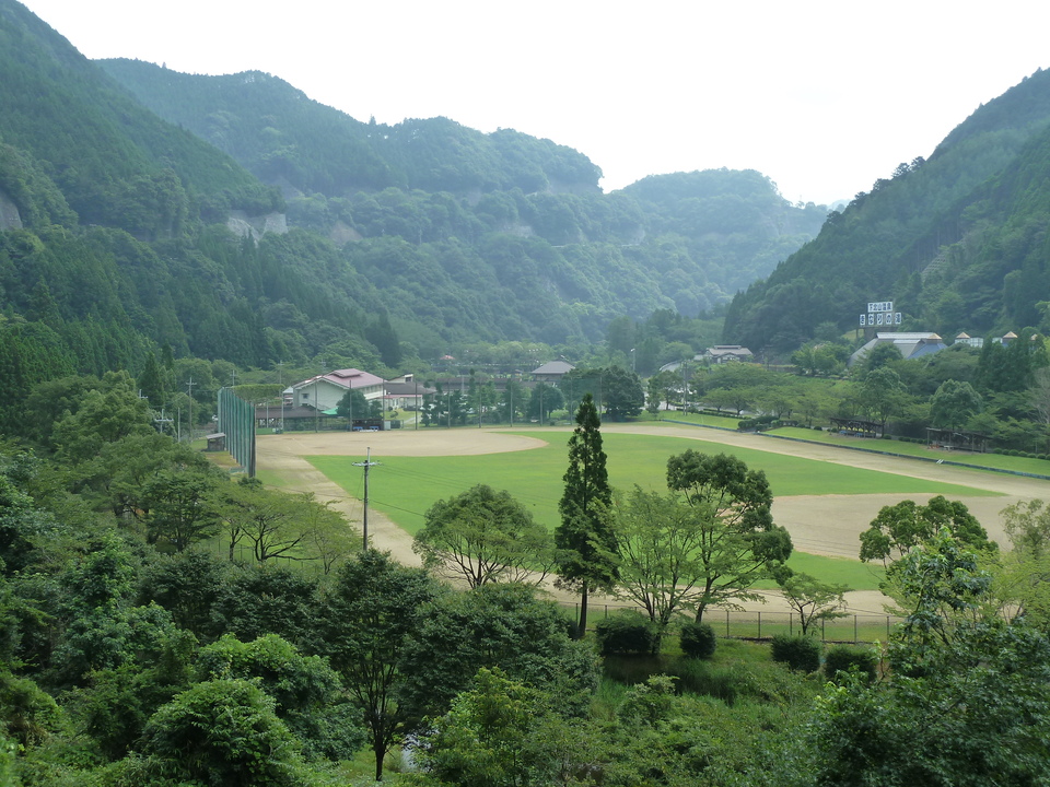 P1040237_mid.jpg