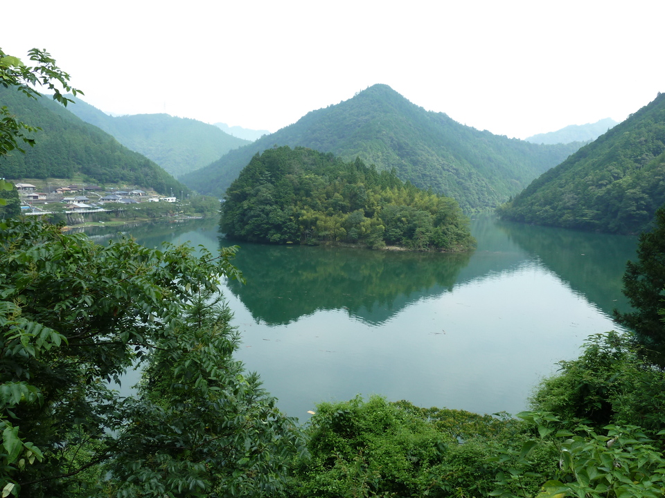 P1040256_mid.jpg