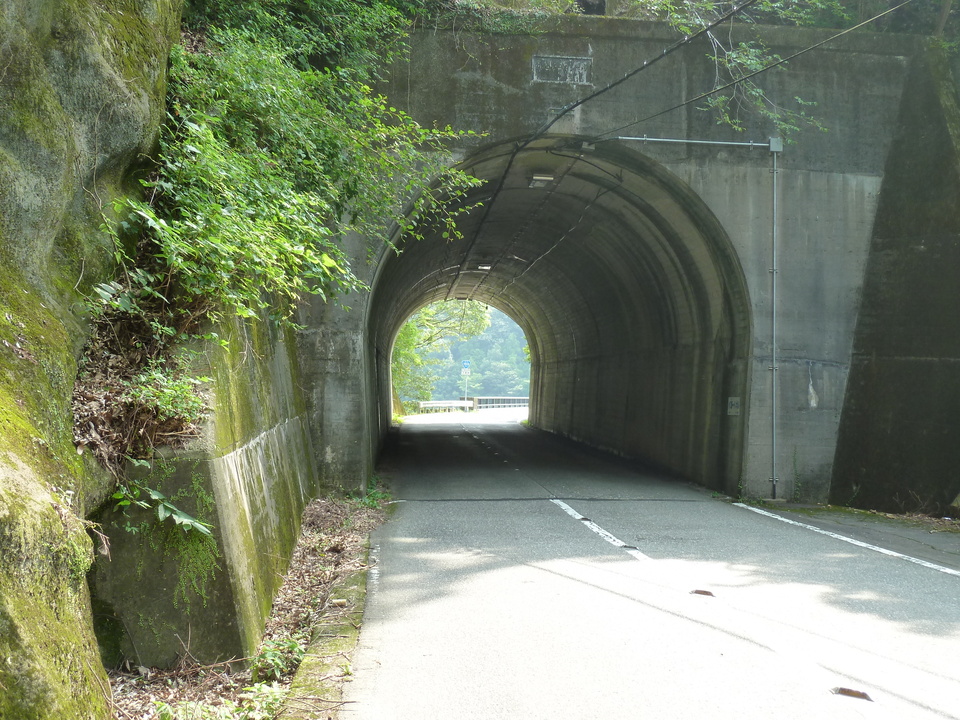 P1040264_mid.jpg