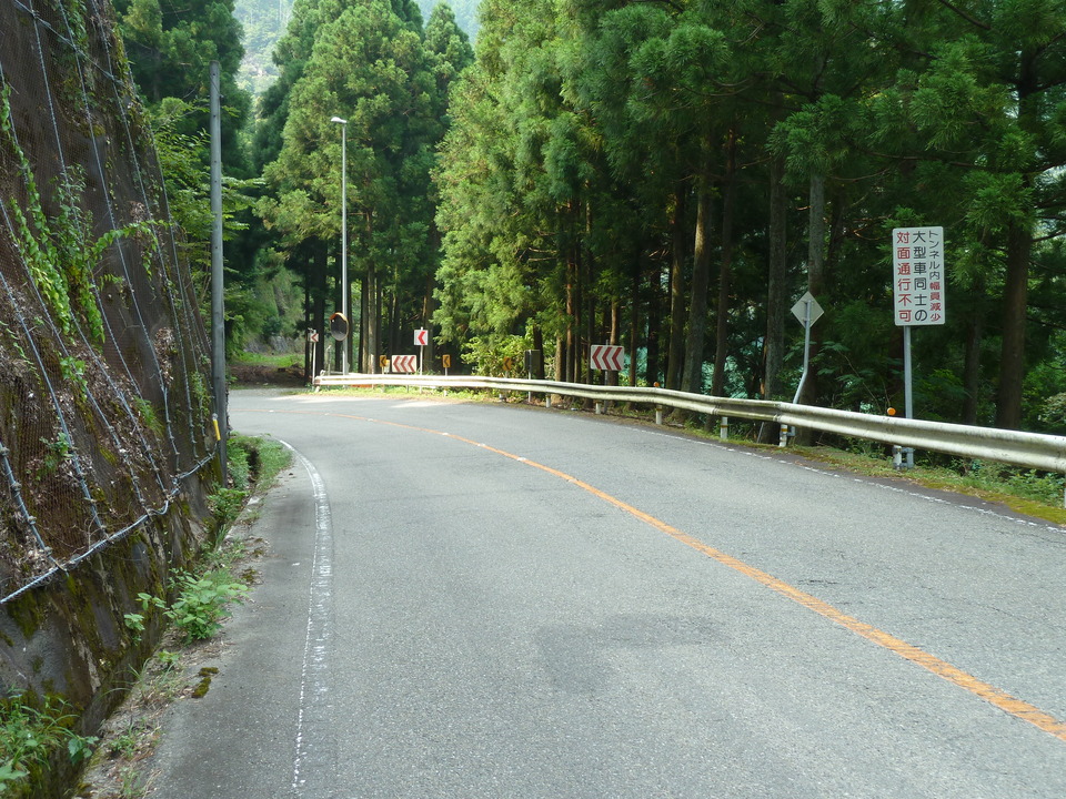 P1040271_mid.jpg