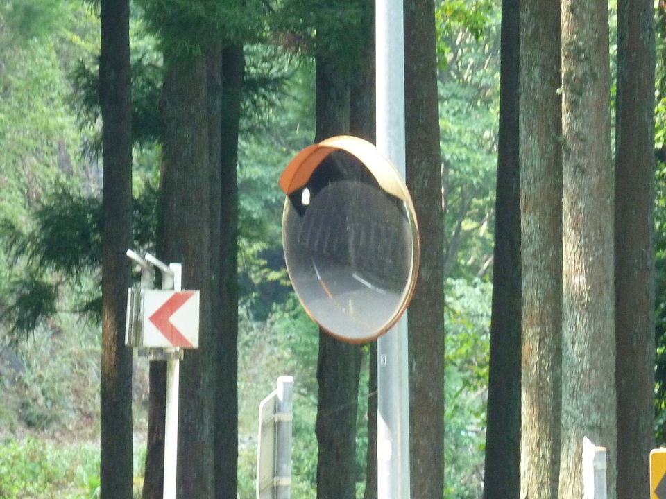 P1040272_mid.jpg