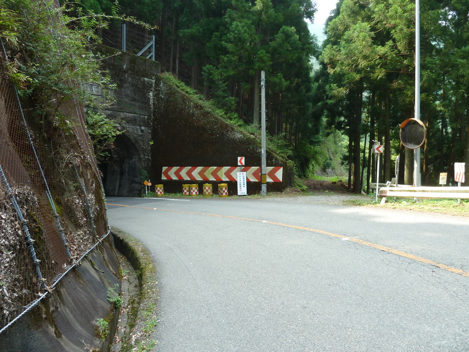P1040273_mid.jpg