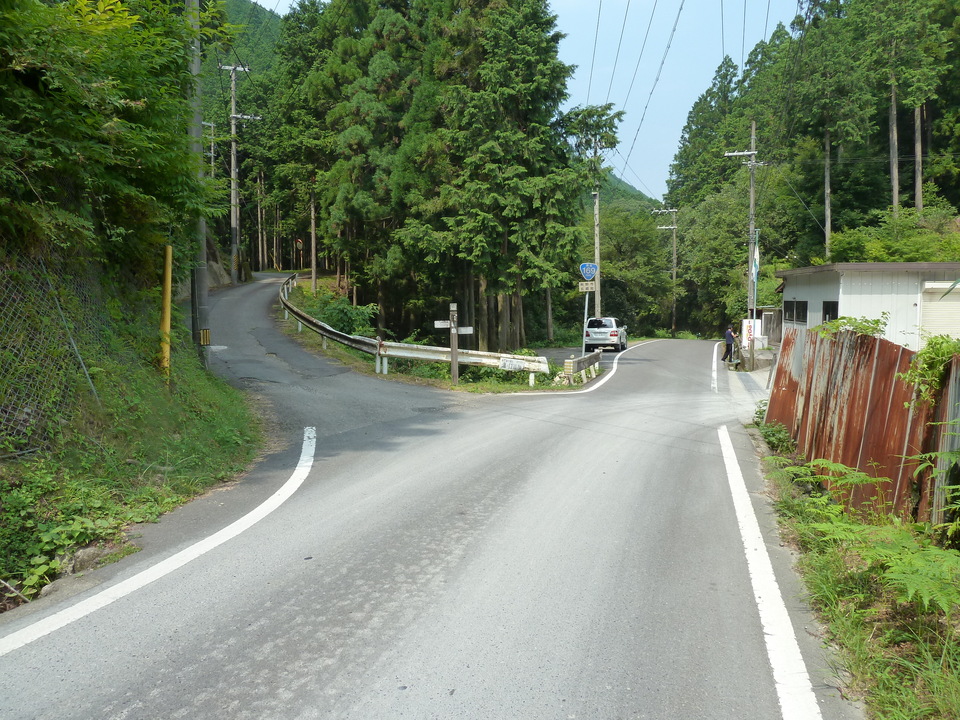 P1040296_mid.jpg