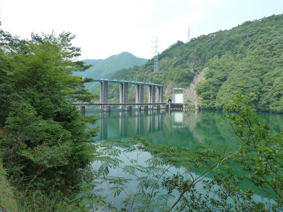 P1040311_mid.jpg