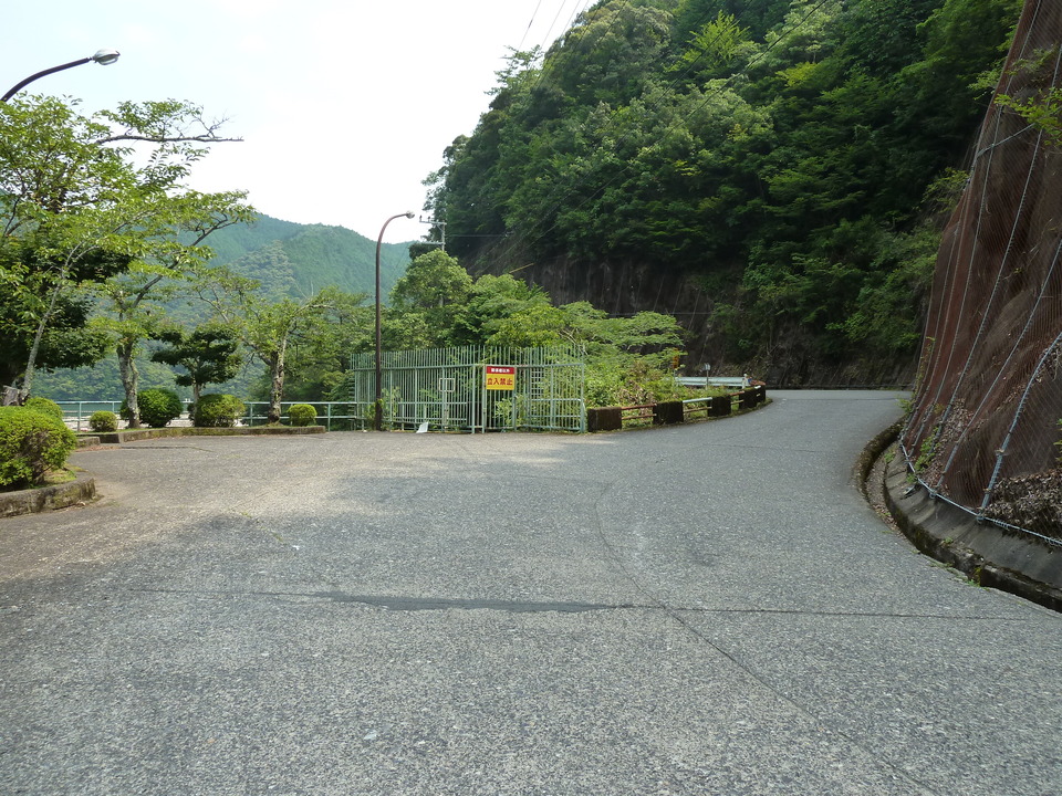 P1040317_mid.jpg