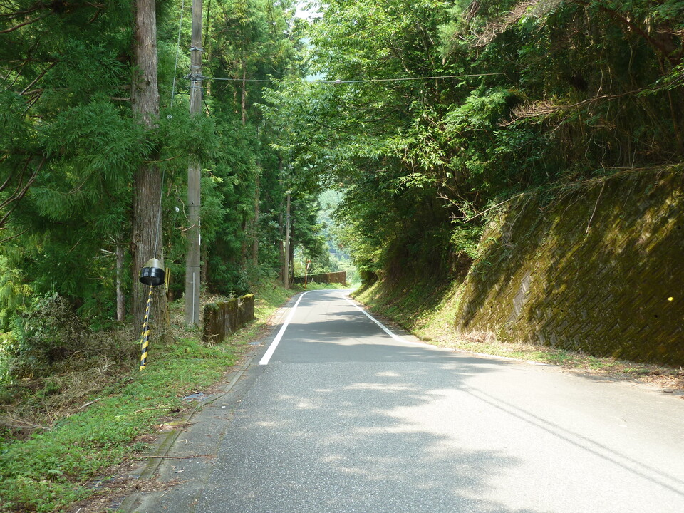 P1040332_mid.jpg