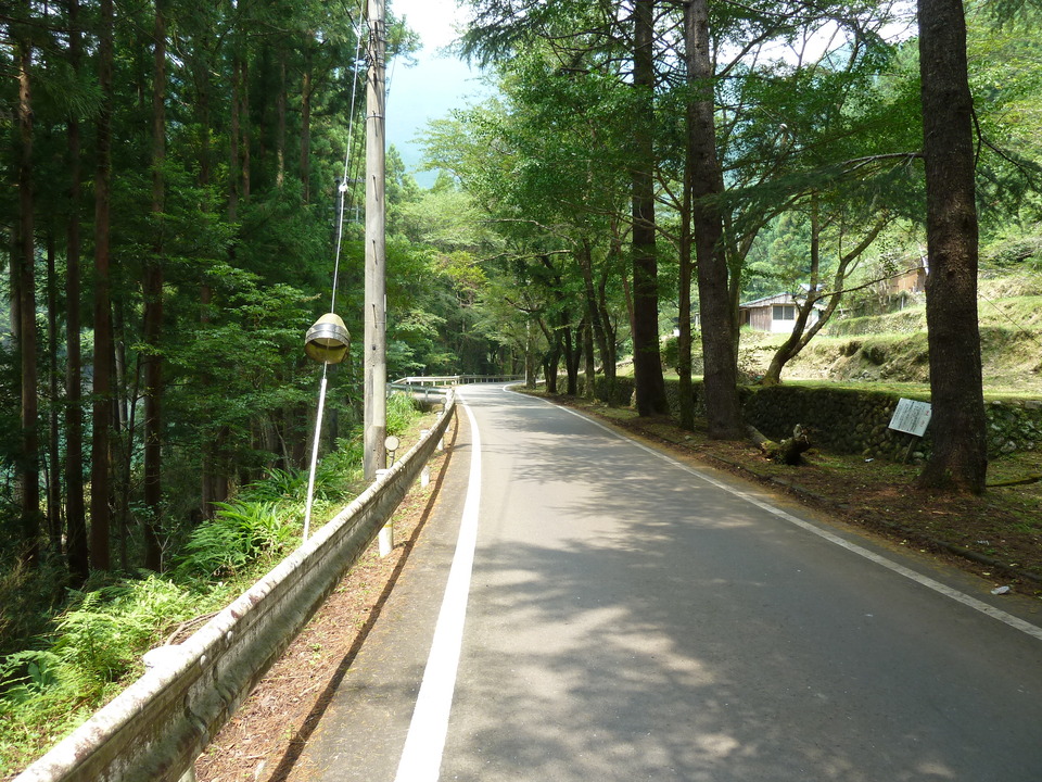 P1040364_mid.jpg