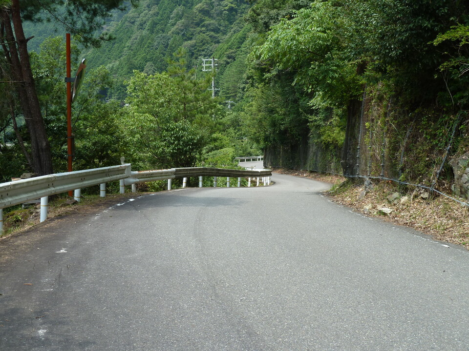 P1040374_mid.jpg