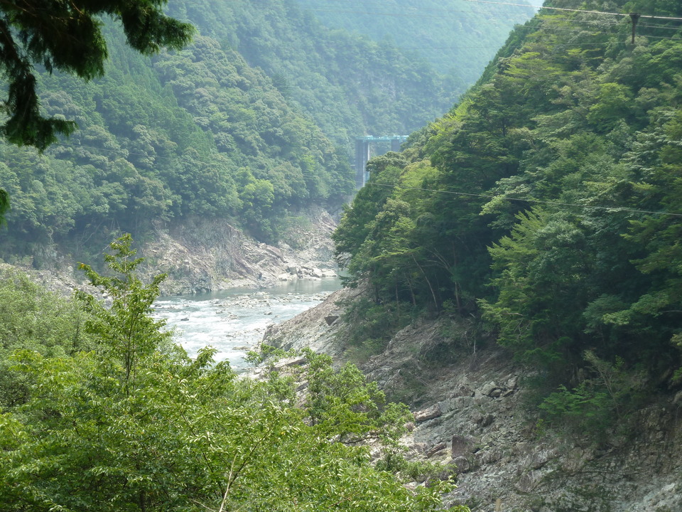 P1040378_mid.jpg