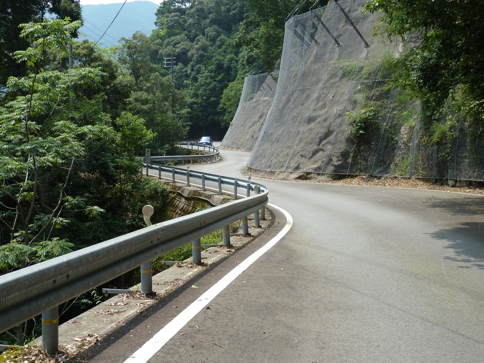 P1040380_mid.jpg