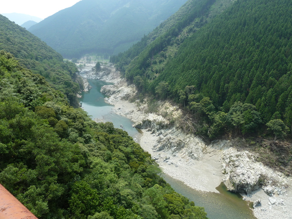 P1040387_mid.jpg