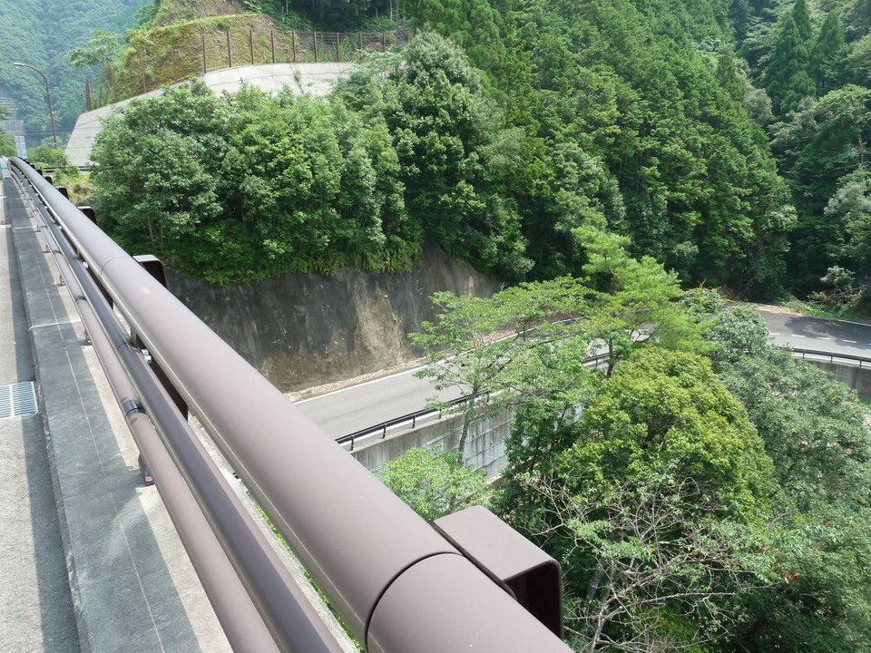 P1040402_mid.jpg