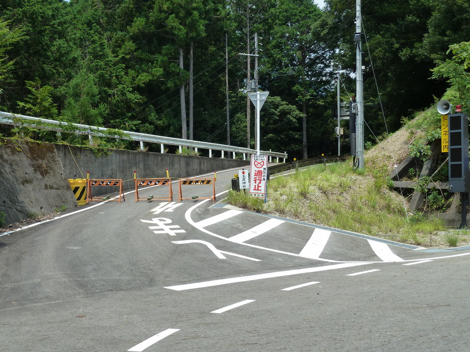 P1040417_mid.jpg