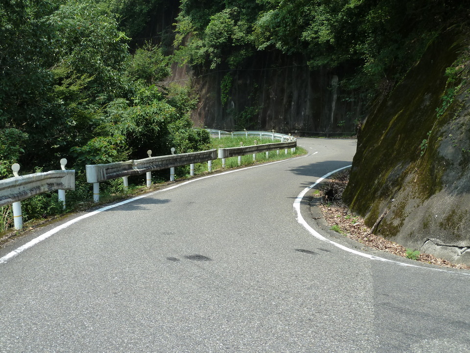 P1040458_mid.jpg