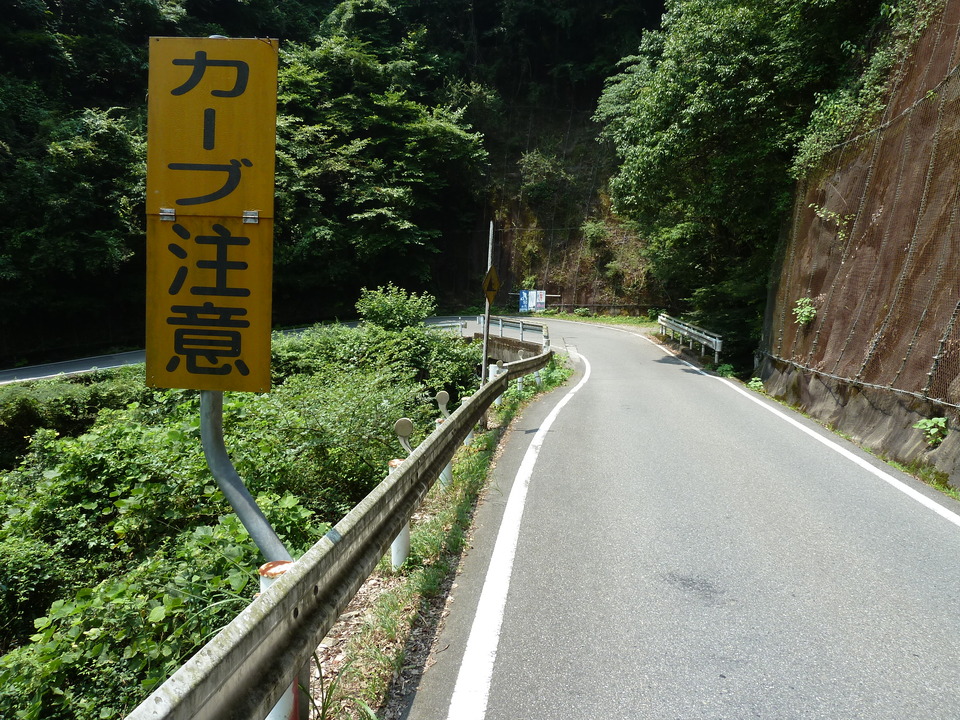 P1040460_mid.jpg