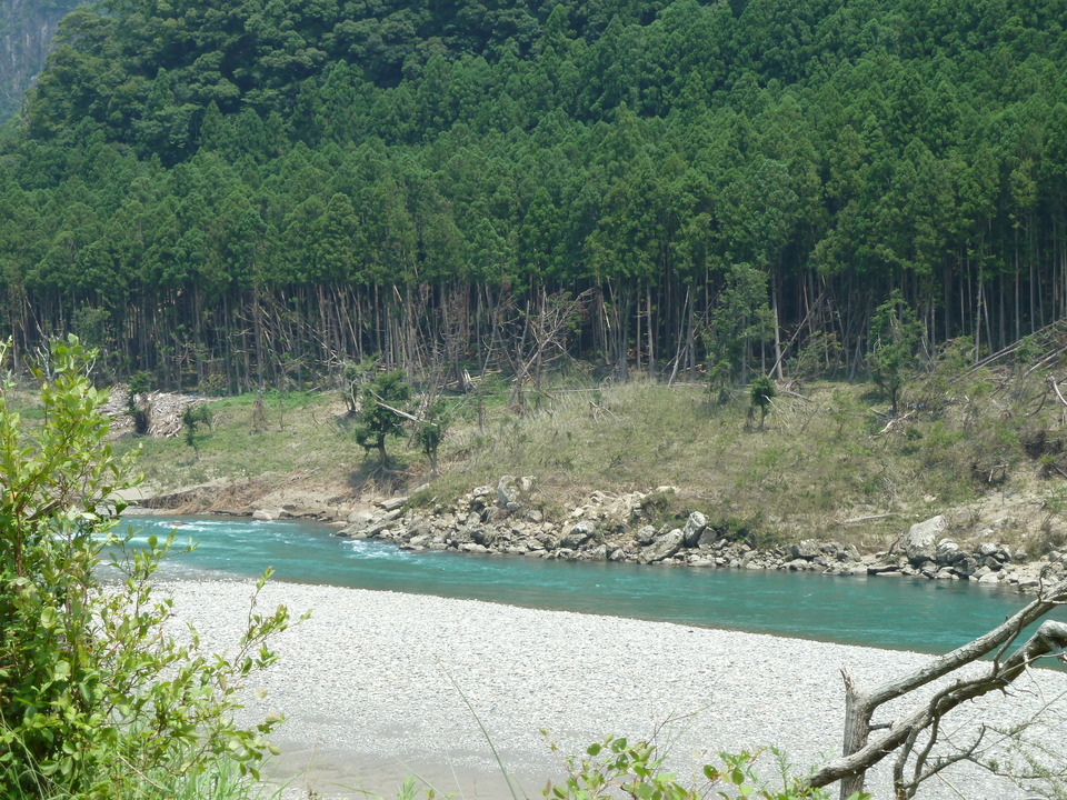 P1040537_mid.jpg